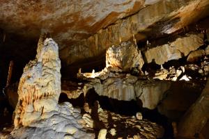 Briljant - pogled obiskovalcev med koncertom manj. Foto J. Rus